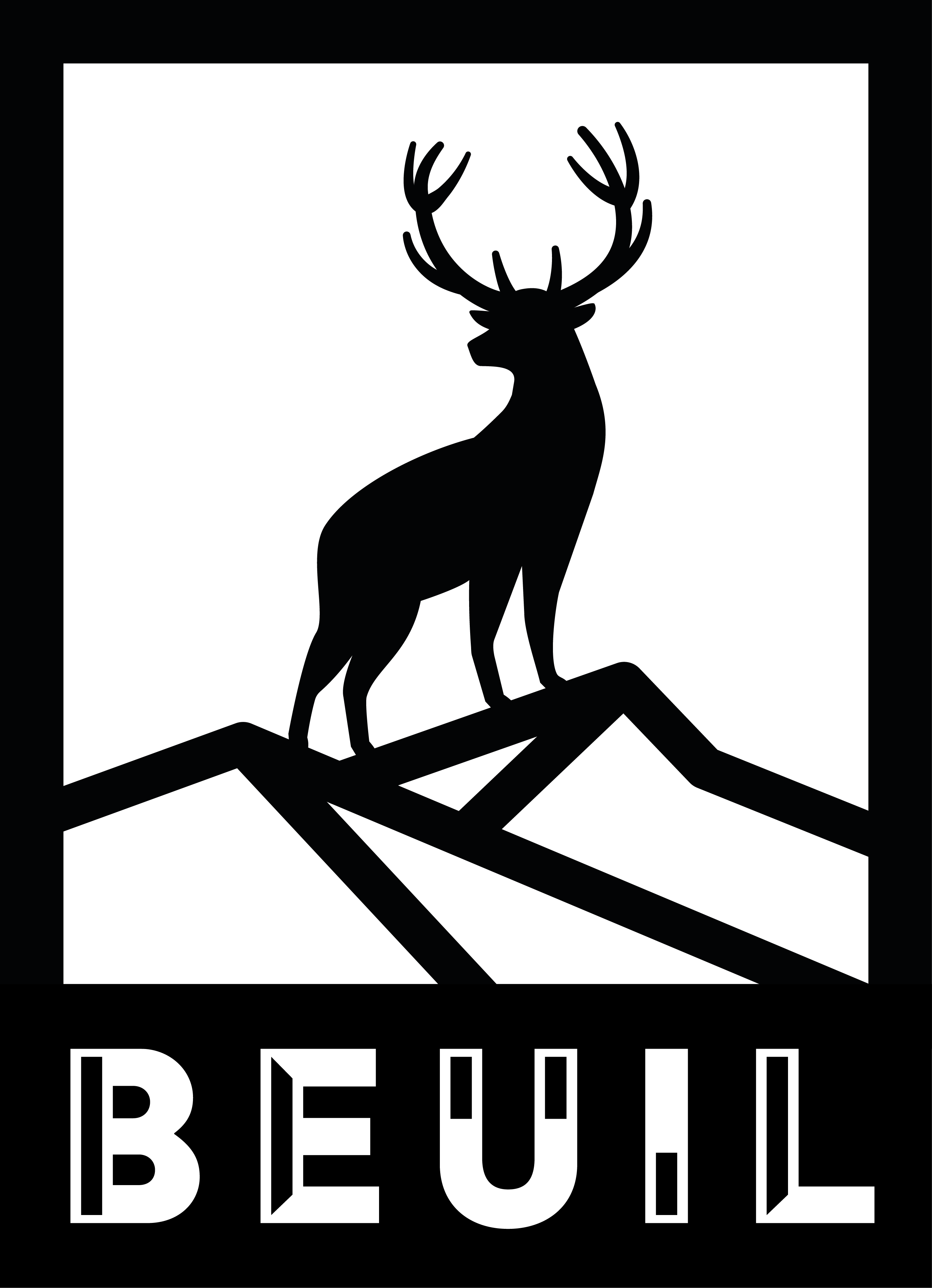 Logo Cerf NB Plan De Travail 1 Copie 02